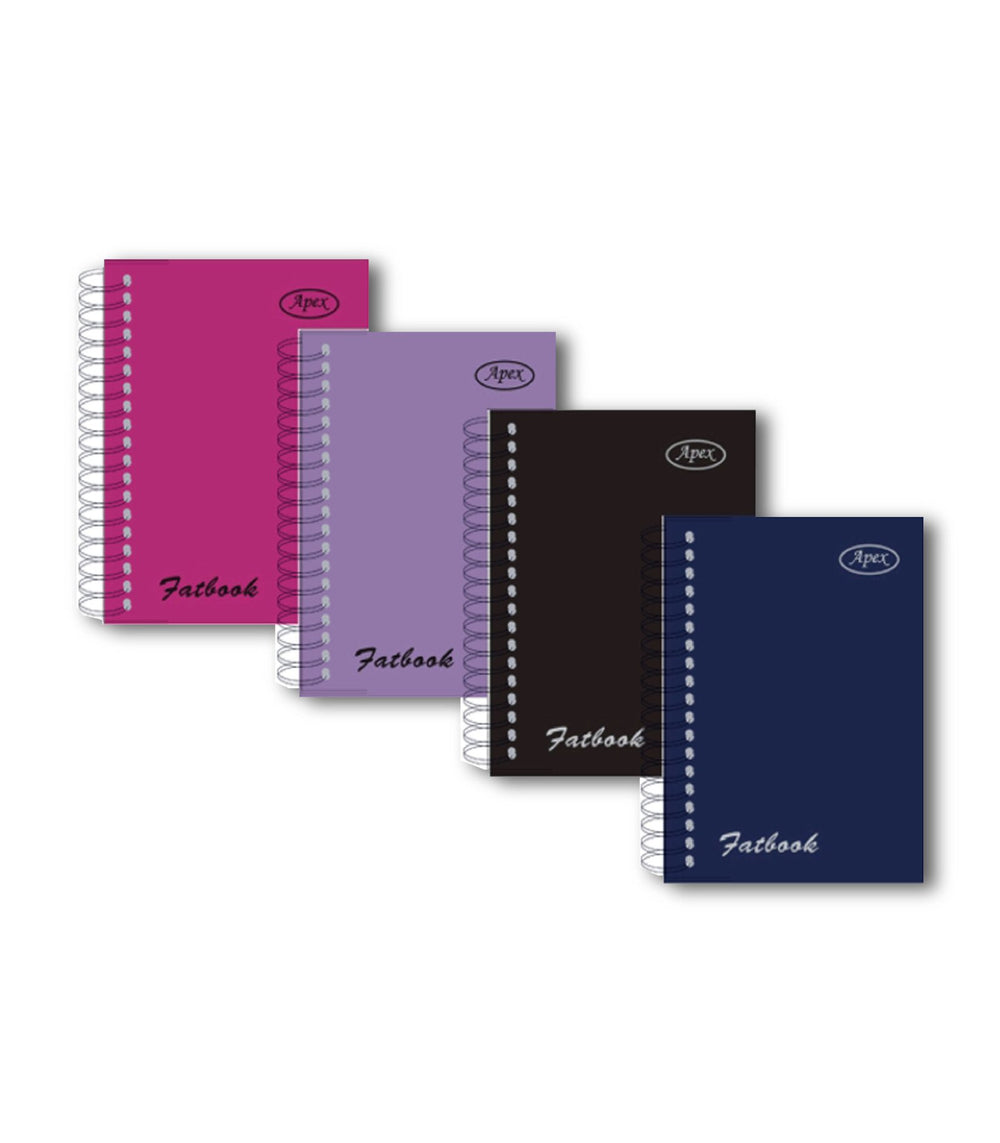 Poly Fat Book, 4" x 5.5", 200 sheets, Assorted Colors, Case Pack of 48,