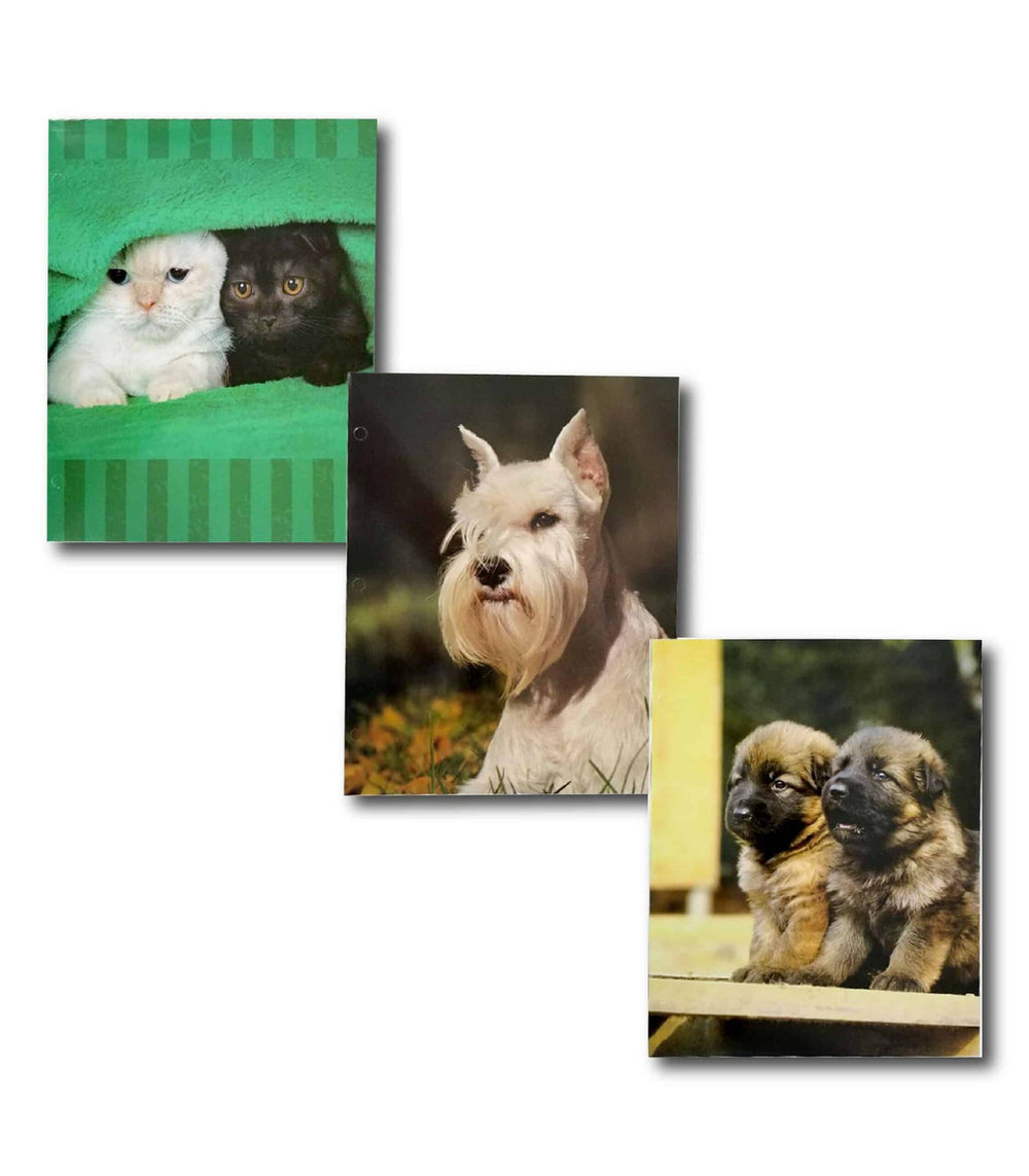 AUKSales 2 Pocket Folders, Asst. Designs, Cats &amp; Dogs, in Display, Case Pack of 48,  Ideal for Bulk Buyers