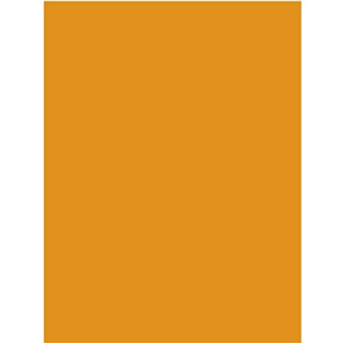 Neon Poster Board, 22" x 28", Orange, Case Pack of 50, Ideal for Bulk Buyers