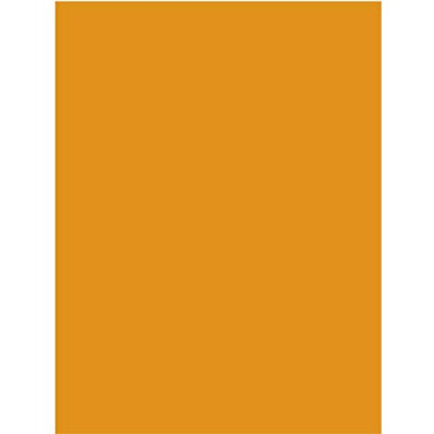 Neon Poster Board, 22" x 28", Orange, Case Pack of 50, Ideal for Bulk Buyers
