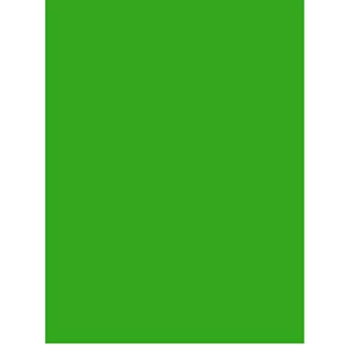 Neon Poster Board, 22"x 28", Green, Case Pack of 50, Ideal for Bulk Buyers