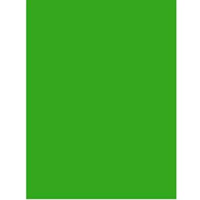 Neon Poster Board, 22"x 28", Green, Case Pack of 50, Ideal for Bulk Buyers