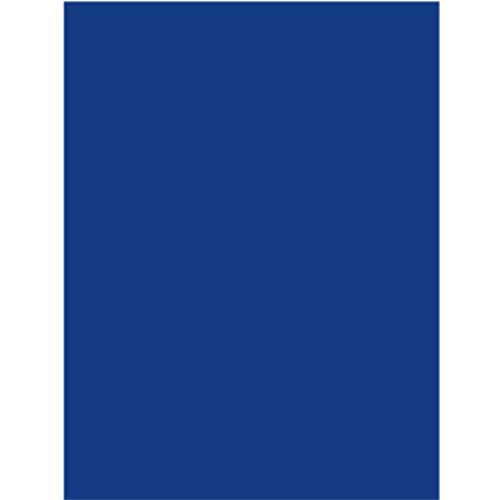Poster Board, 22"x 28", Blue, Case Pack of 25, Ideal for Bulk Buyers