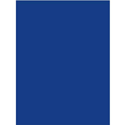 Poster Board, 22"x 28", Blue, Case Pack of 25, Ideal for Bulk Buyers