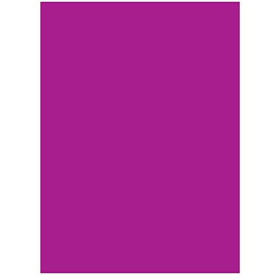 Neon Poster Board, 22"x 28", Pink, Case Pack of 25, Ideal for Bulk Buyers
