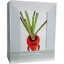 AUKSales 2 Pocket Folders - Funny Fruits and Vegetables, Case Pack of 60, Ideal for Bulk Buyers