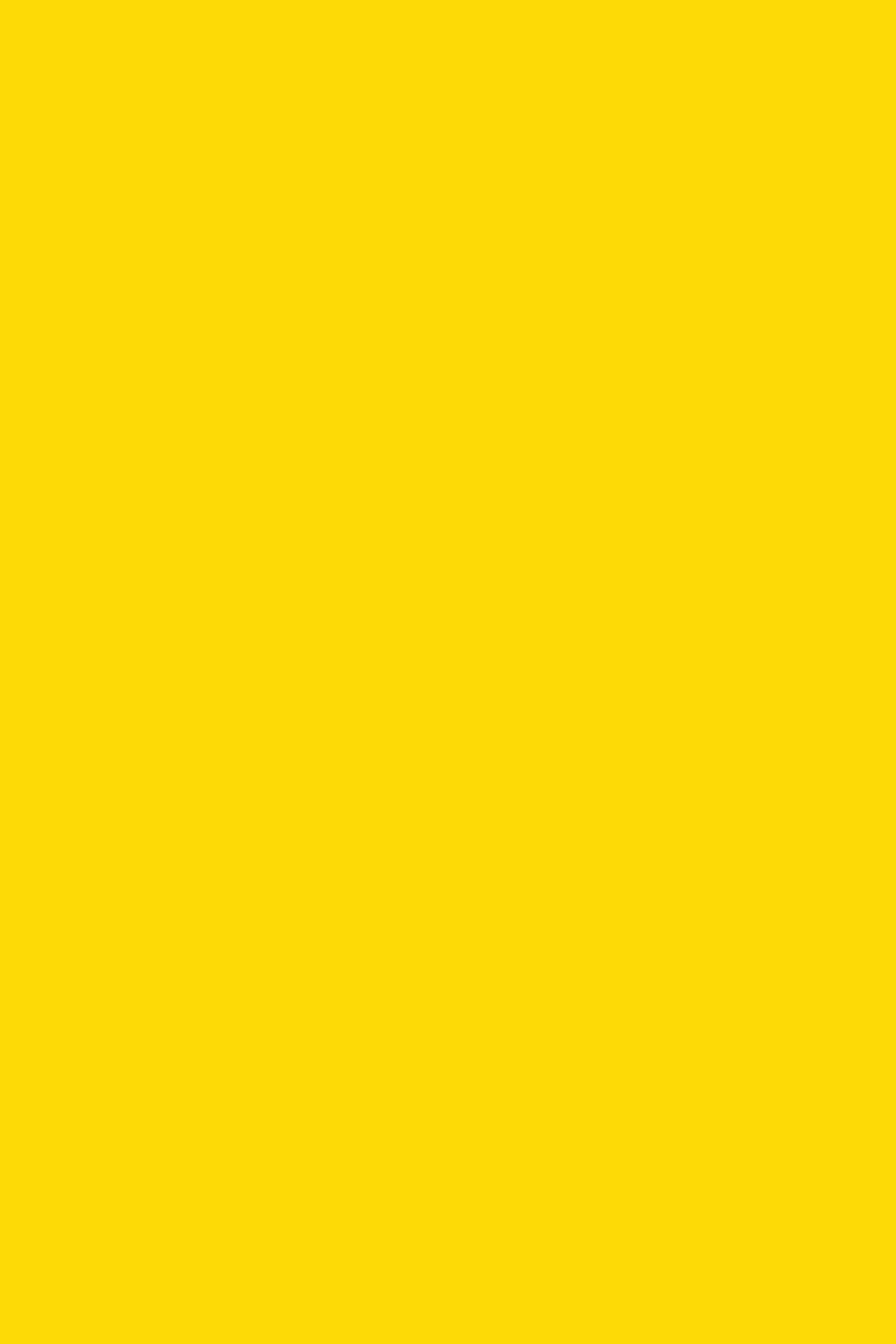 Yellow Foam Boards – 20" x 30", Lightweight Display Boards, Pack of 25, Ideal for Bulk Buyers