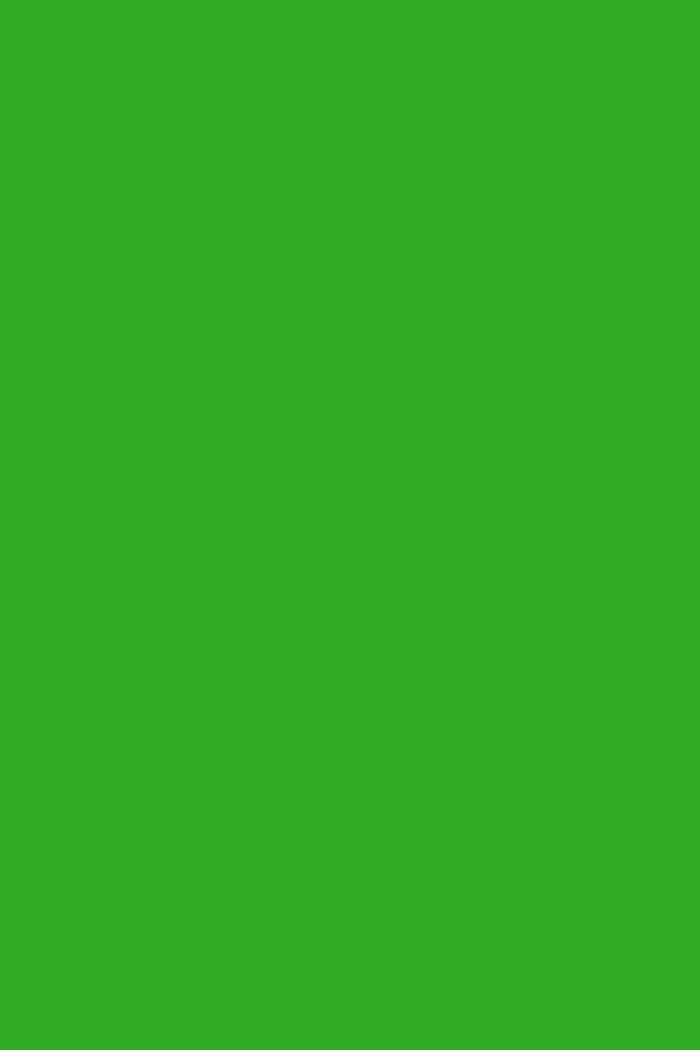 Foam Board, 20" x 30",Green, Case Pack of 25, Ideal for Bulk Buyers