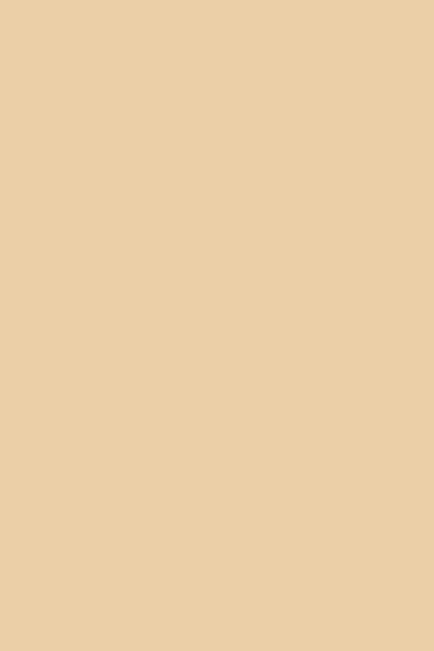 Foam Board, 20" x 30",Light Beige, Case Pack of 25, Ideal for Bulk Buyers